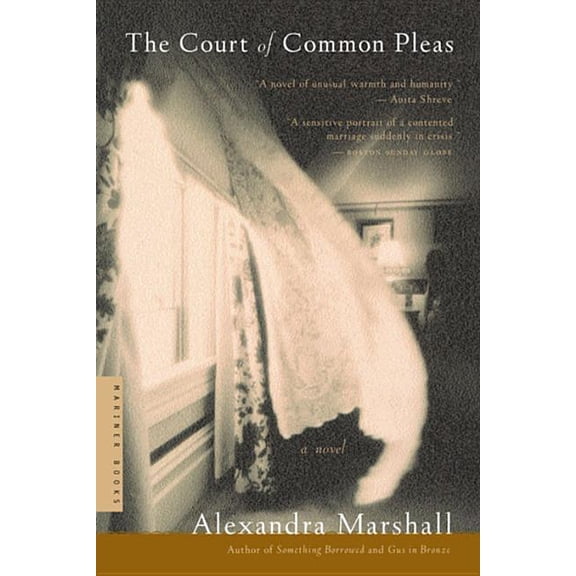 The Court of Common Pleas, (Paperback)