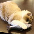 thumbnail image 3 of 20PCS Catnip Fish Toys for Cat 20cm Cat Toys Cat Fish Pillow Cat Catnip Toys, 3 of 7