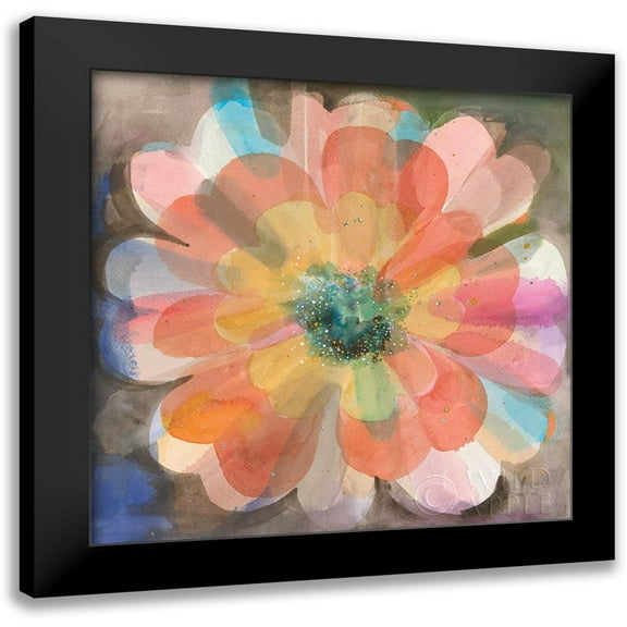 Nai, Danhui 12x12 Black Modern Framed Museum Art Print Titled - Kaleidoscope Flower