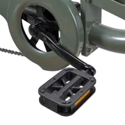 NAKTO S02 400 lbs Capacity Electric Tricycle for Adults, 48V 16Ah Battery, 750W Peak Rear Hub Motor, 60-Mile Long Range Electric Trike, Dual Disc Brakes, Green