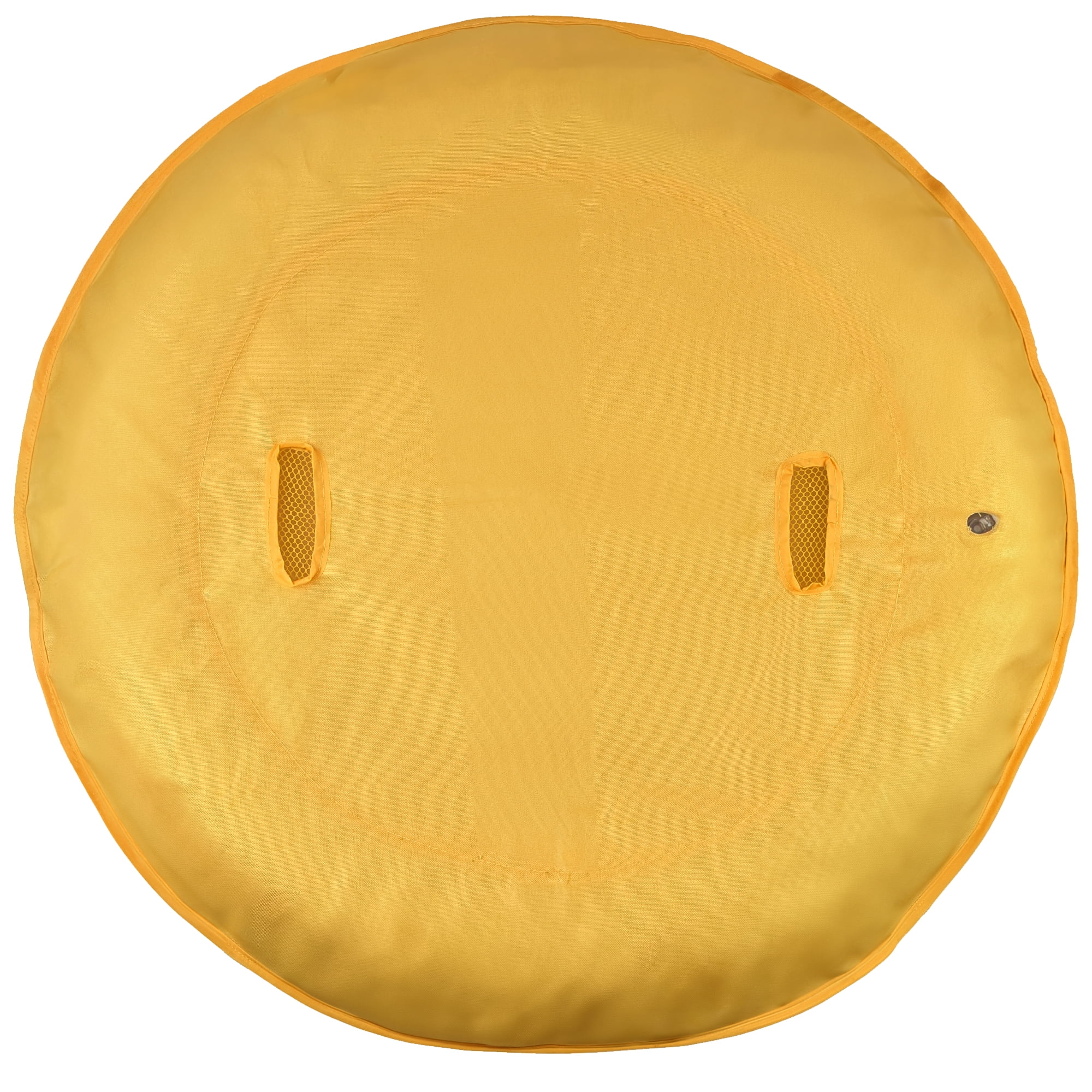 Vibrant Life Pet Pool Float for Dogs
