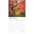 thumbnail image 4 of Majesty of Trees 2025 12 X 24 Inch Monthly Square Wall Calendar Plastic-Free (Wall), 4 of 9