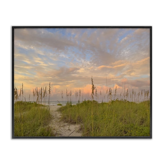 Stupell Industries Serene Coastal Path Grasses Landscape & Nature Photography Black Framed Art Print Wall Art, 14 x 11