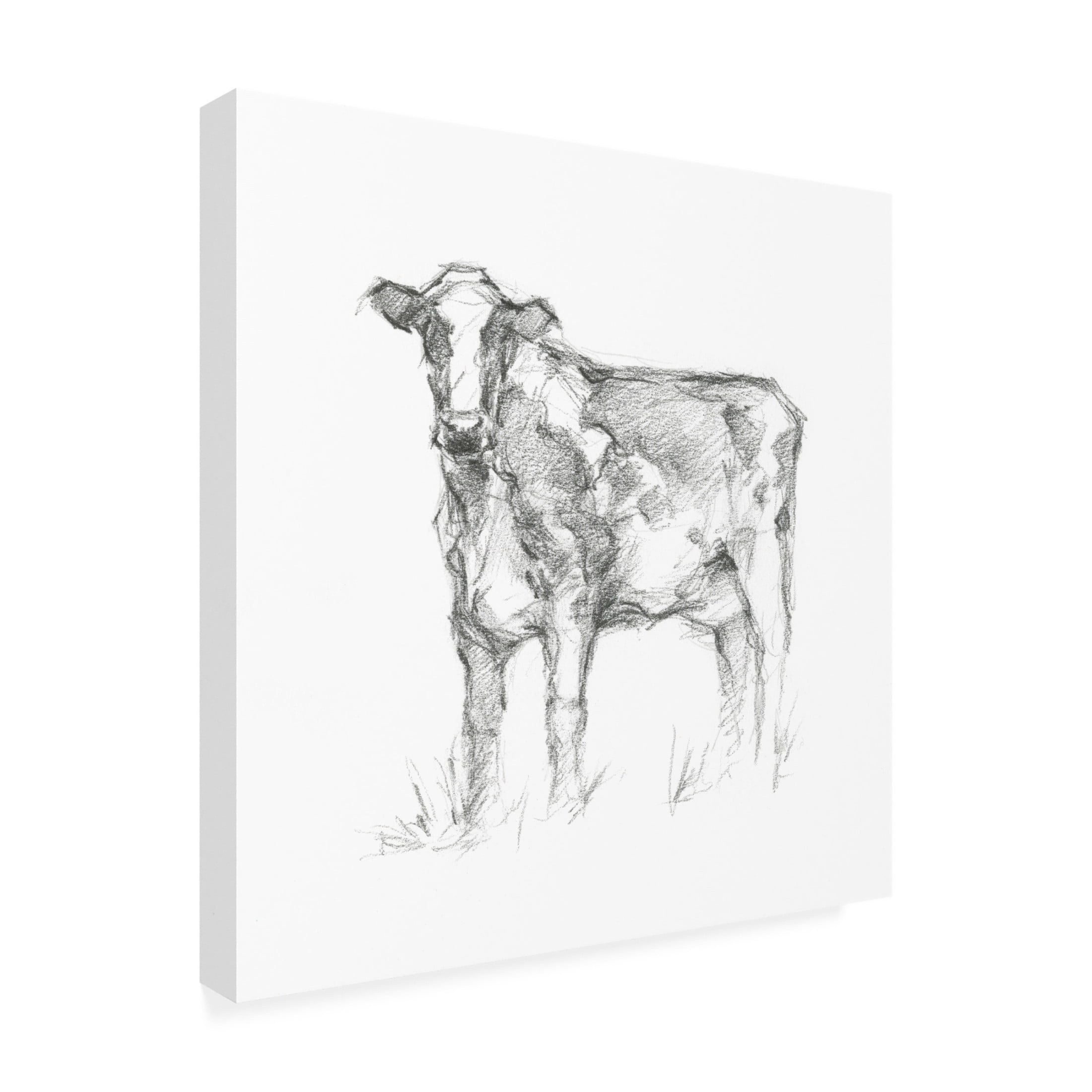 Canvas Wall Art - Ethan Harper 'Bovine Study II' Wall Art for Living Room, Bedroom, or Office Décor by Trademark Fine Art - 35 x 35 Inches