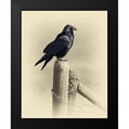 thumbnail image 2 of Brown, Jim 20x24 Black Modern Framed Museum Art Print Titled - Raven, 2 of 5