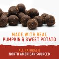 thumbnail image 3 of Caledon Farms all Natural Pumpkin Baked Bites 265g Plant Based Dog Treats, 3 of 10
