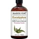 thumbnail image 3 of Aceite esencial MAJESTIC PURE Eucalyptus 120 ml (paquete de 2), 3 of 6