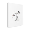 thumbnail image 2 of Trademark Fine Art 'Japanese Cranes II' Canvas Art by Naomi McCavitt, 2 of 4