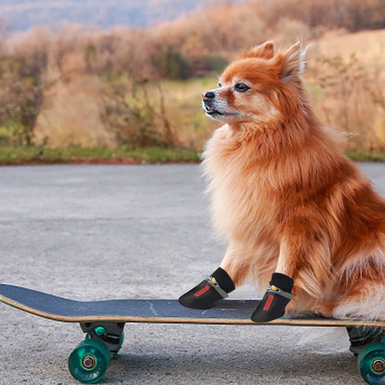 Indoor dog shoes hot sale