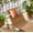 A, variant on Yuege 11x15.7 in Outdoor Waterproof Adjustable Headrest Pillow with Strap Lumbar Support Cushion for Beach Chair,B