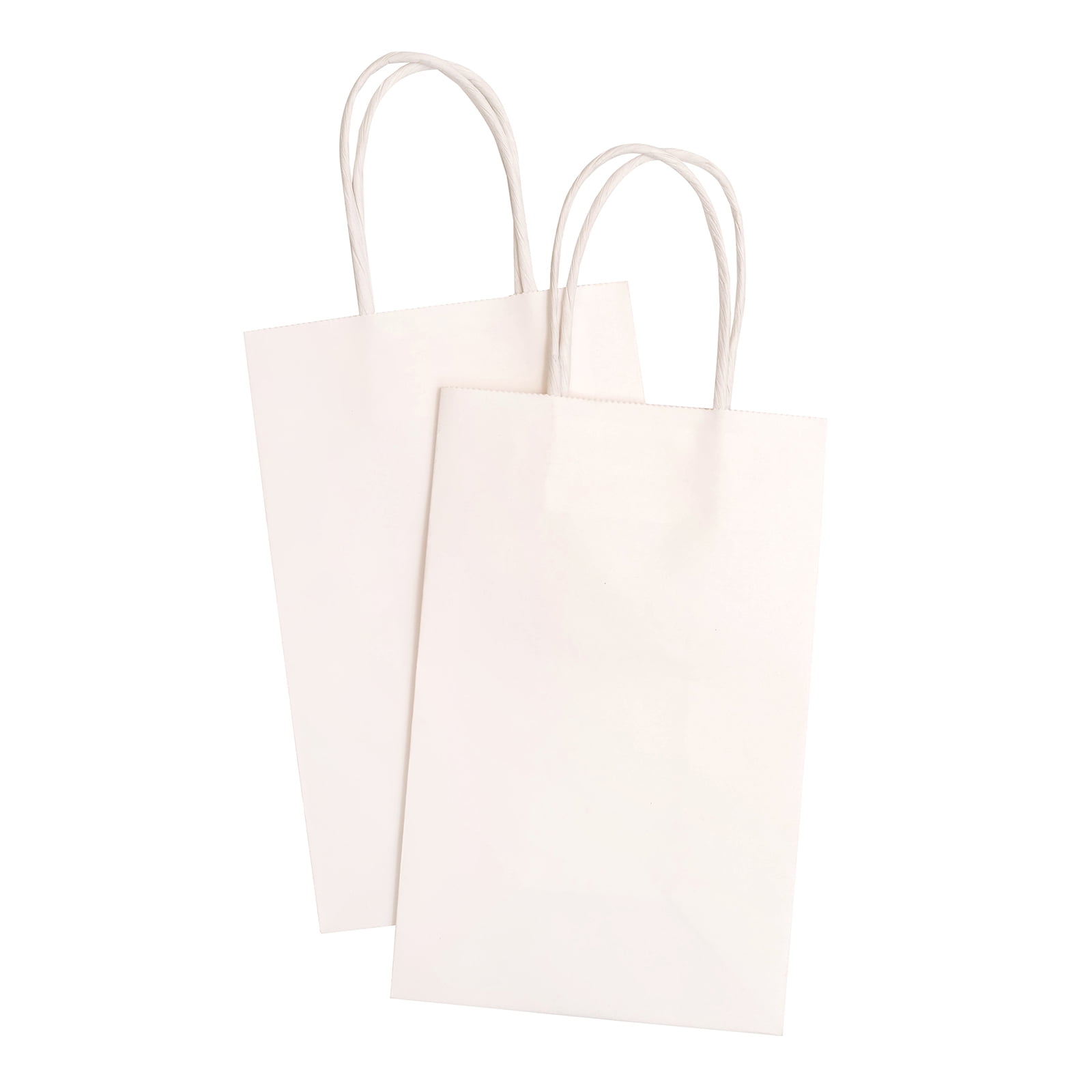 Craft Paper Bag - Craft Paper Bag Mockup - TemplateMonster