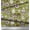 Olive Green, variant on Soimoi polyester Crepe Fabric Spices,Cookies & Cupcake Food Print Fabric by the Yard 42 Inch Wide