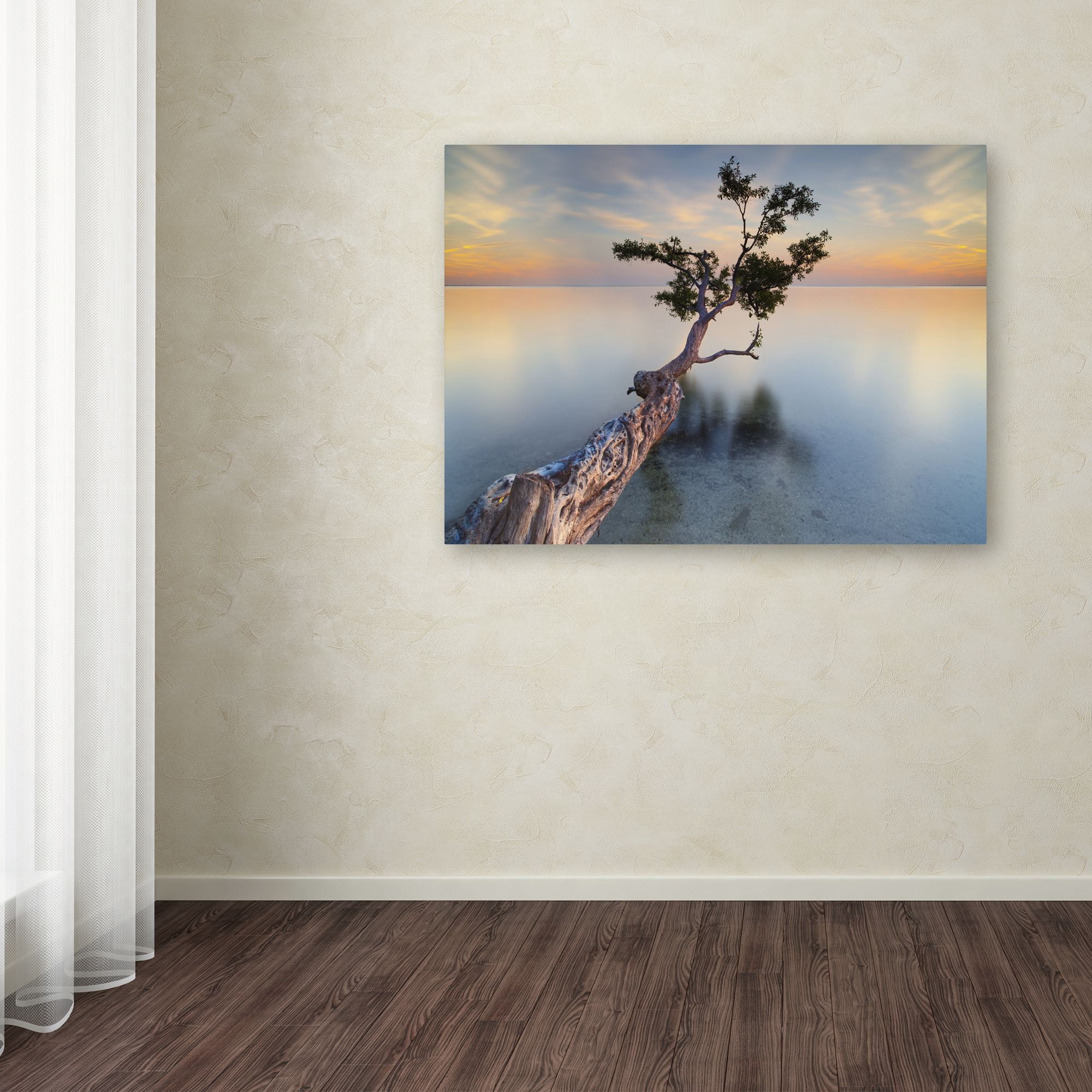 Trademark Fine Art "Water Tree XIV" Canvas Art by Moises Levy