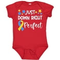 thumbnail image 3 of Inktastic Just Down Right Perfect Down Syndrome Awareness Ribbon Boys or Girls Baby Bodysuit, 3 of 5