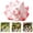 C, variant on Z52LingLing Decoration Miniature Green Nine-Tailed Fox Resin Figurine Mystical Fairy Tale Desktop Ornament
