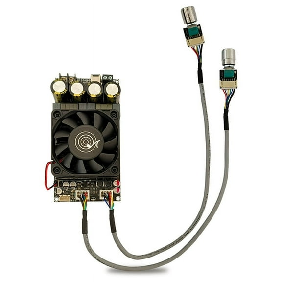 1 x 600W pure subwoofer amplifier board-Black