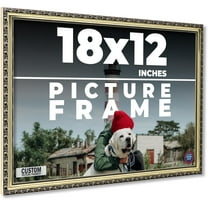18x12 Frame Silver Solid Wood Picture Frame Width 1.125 Inches | Interior Frame Depth 0.375 Inches