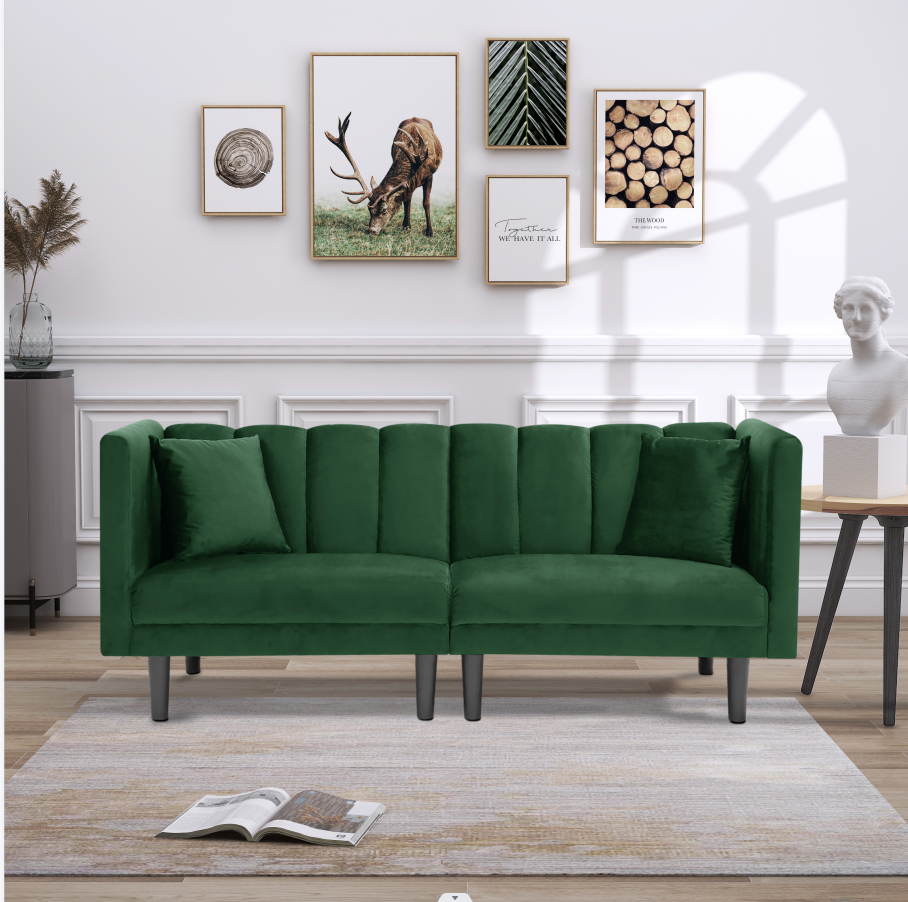 BSHTI Stylish Futon Sofa Bed, 2 Pillows And Perfect Artificial Cushion Velvet Futon Sofa(Green