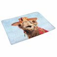 thumbnail image 2 of MKHERT Funny Camel with Hat Cute Animal Doormat Rug Home Decor Floor Mat Bath Mat 30x18 inch, 2 of 3
