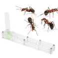 thumbnail image 1 of Liukouu Granja de Hormigas, Insecto Hormiguero Nido Granja alimentación Caja formicario Educativo, hábitat para Hormigas vivas, ecosistema de alimentación de Hormigas(Transparente) EOTVIA No, 1 of 7