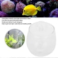 thumbnail image 4 of Aquarium Decoration Supplies Transparent Glass Planting Pot for Fish Tanks with Grass Plants, 4 of 5