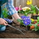 thumbnail image 4 of Rastrillo de Mano Qazbgdl de 3 Dientes para Jardinería | Herramienta de Deshierbe de Acero Templado | Mango de Fibra de Vidrio Resistente | Rastrillo de Jardín Negro de 14.17 Pulgadas para Verduras y, 4 of 6