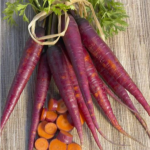 Purple Carrot Garden Seeds - 4 Oz - Heirloom, Non-GMO, Vegetable Garden & Microgreens Seed