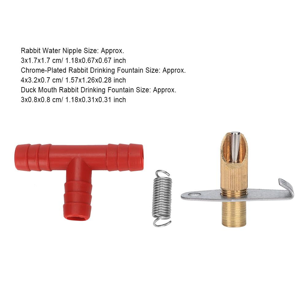 rabbit water fountain