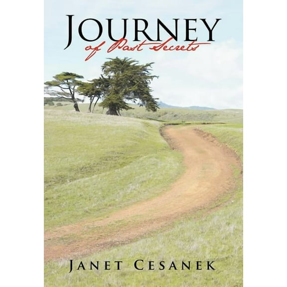 Journey of Past Secrets (Hardcover)