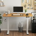 "Furmax Home Office Electric Standing Desk, 48"" x 24"", with Raising