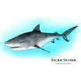 thumbnail image 3 of CafePress - Tiger Shark Mug - 11 oz Ceramic Mug - Novelty Coffee Tea Cup, 3 of 6