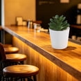 thumbnail image 4 of Eolstice Artificial Potted Plants, Fake Plastic Flowers with White Pots, Small Arrangement, Home Table Kitchen Bar Decor, Office Indoor Decoration, 4 of 6