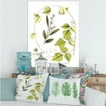 thumbnail image 2 of Designart ' Ancient Botanicals XXI ' Traditional Canvas Wall Art Print, 2 of 4