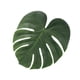 thumbnail image 4 of 30PCS Monstera simulada Decoración de hojas Realista Adorno de hojas verdes Plantas artificiales Adorno de hojas Suministros de decoración creativa para el hogar (Verde Tamaño mediano de 8 pulgadas), 4 of 5