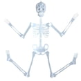 thumbnail image 4 of Jouet Maison Squelette Lumineux 32cm Squelette Effrayant pour Halloween, 4 of 9