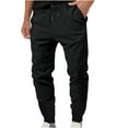 thumbnail image 2 of WREESH Men's Sweatpants Solid Color Sport Loose Pleated Small Legs Lace-Up Solid Color Full Length Pants Black, 2 of 6