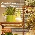thumbnail image 3 of Soporte para plantas Bamworld 01A con luz de cultivo de 3 niveles para más de 7 macetas, 3 of 6
