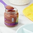(10 pack) Parent's Choice Stage 2 Baby Food, Pear & Blueberry, 4 oz Jar ...