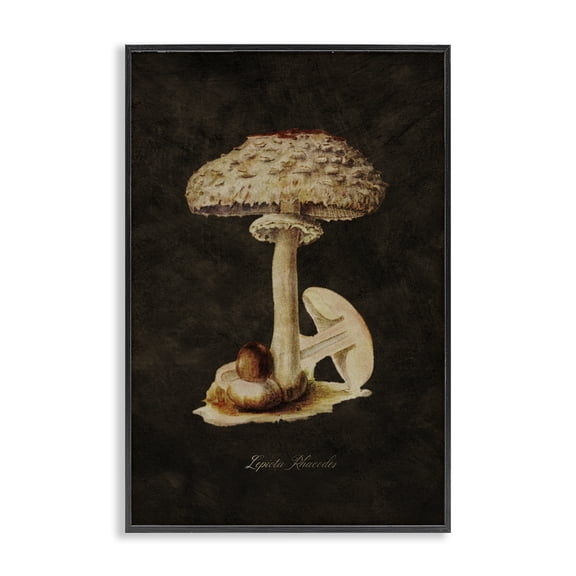 Stupell Industries Mid-Century Black Framed Giclee Art, 12 x 18, by Tina Higgins Designs Inc.