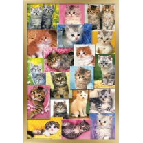 Keith Kimberlin - Kittens Collage Wall Poster, 22.375" x 34", Framed