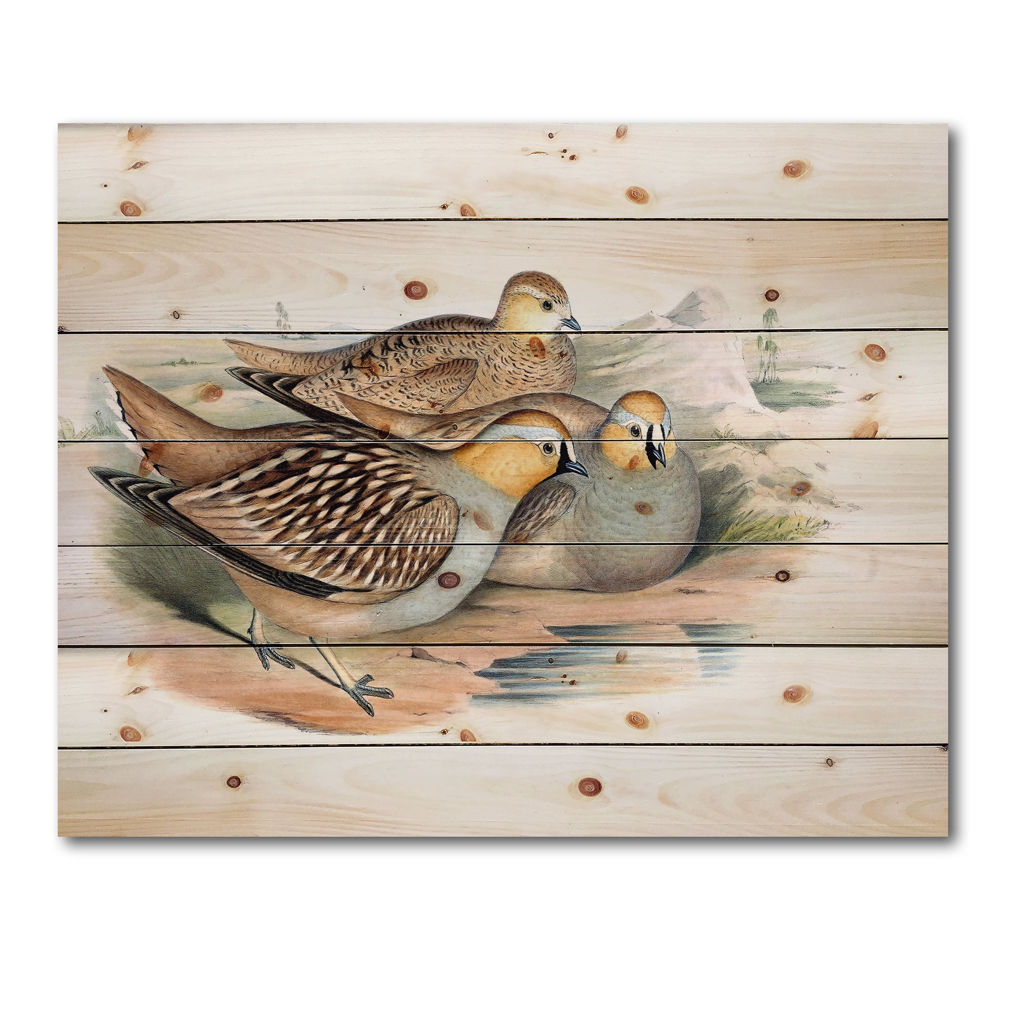 Designart 'Ancient Birds In The Wild III' Traditional Print on Natural Pine Wood