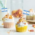 thumbnail image 5 of Country Flag Toothpicks | Cake and Burger Decorative Sticks | Flags for Themed Meals, 5 of 5