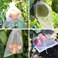 thumbnail image 6 of 100 Pack Solid Color Transparent Mesh Drawstring Bags, Bird-Proof Fruit Protection Bags, Breathable Plants Covers with Pocket for Gardening, 6 of 8