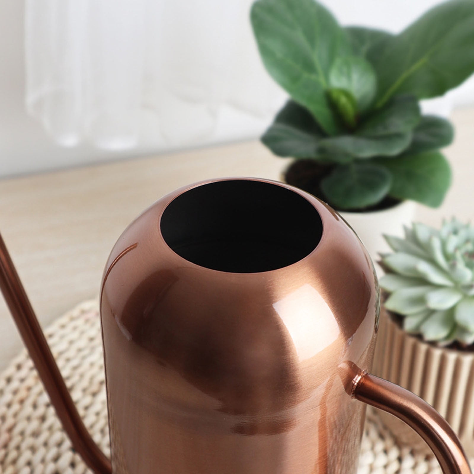 1.5L Stainless Steel Watering Can with Long Spout, Large Capacity Metal Watering Pot for Indoor Outdoor Plants, Ergonomic Handle & Anti-Spill Design