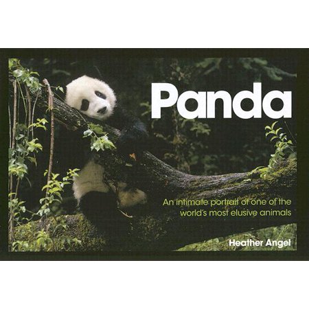 Panda An Intimate Portrait Of One Of The World S Most