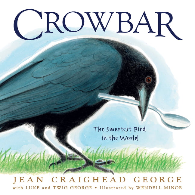 Crowbar : The Smartest Bird in the World (Hardcover) 
