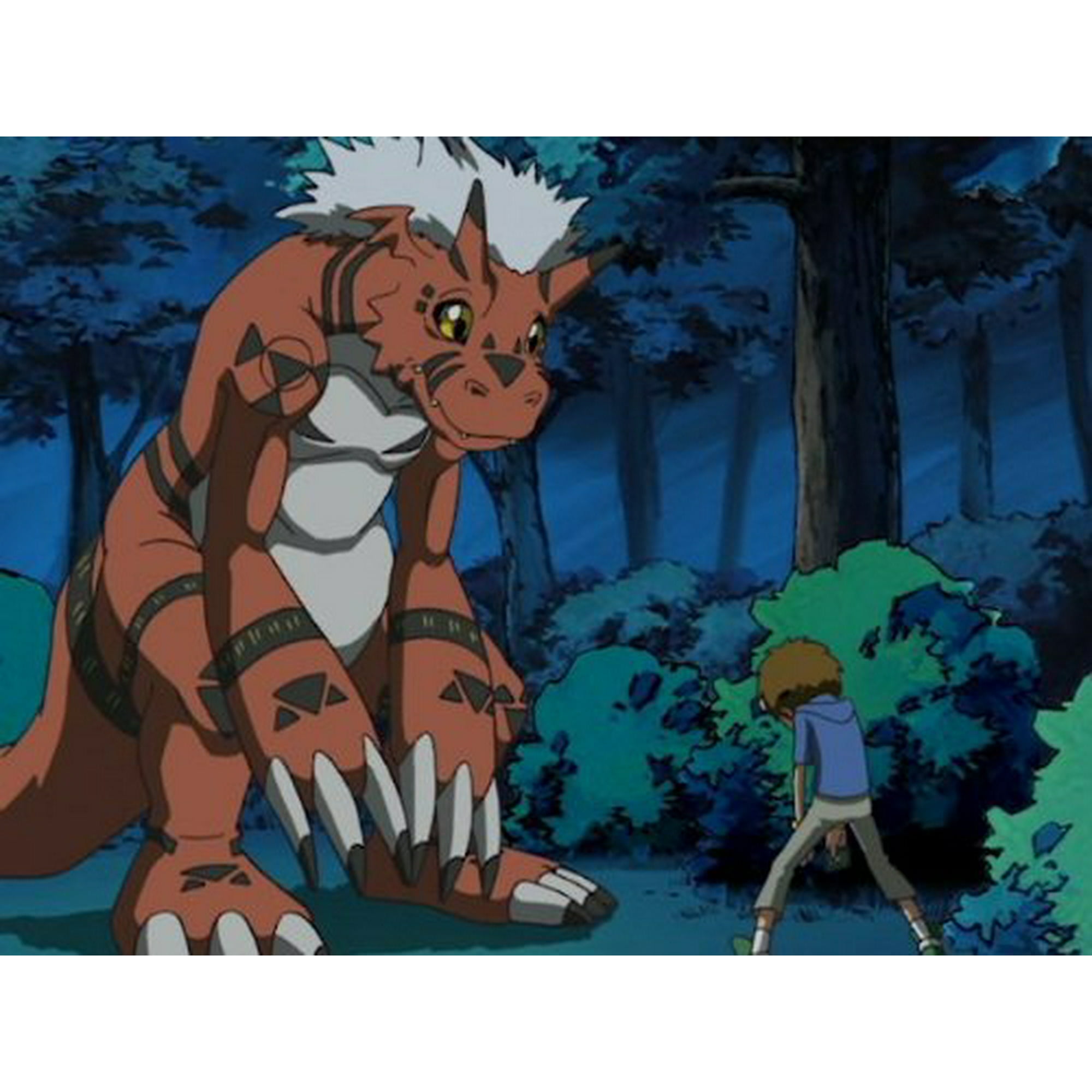 Digimon Digital Monster The Complete Series Seasons 1 4 DVD Box Set English only Walmart