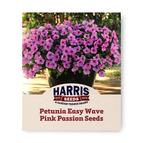 Harris Seeds Petunia Easy Wave Pink Passion, Spreading Pink Petunia, 25 Count