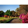 thumbnail image 2 of Alabama Picture Archive 14x11 Black Modern Framed Museum Art Print Titled - Bellingrath Gardens Alabama II, 2 of 4