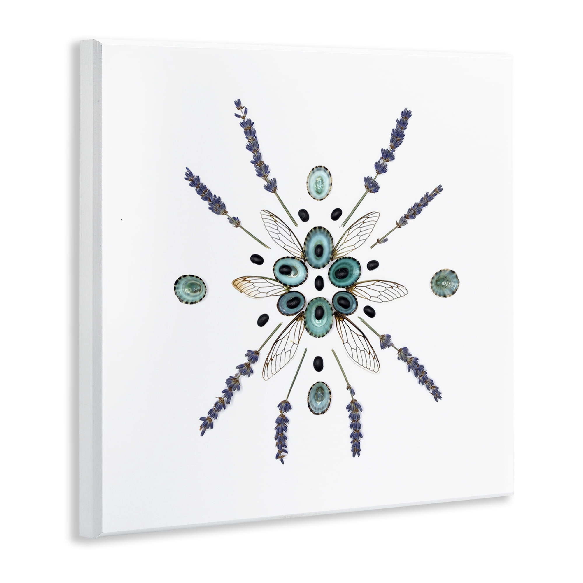 Stupell Industries Lavender & Delicate Wings Wall Plaque Art, design by Beth Adoette